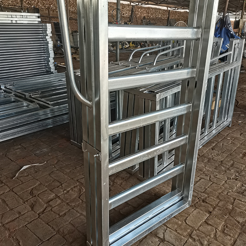 Galvanized cattle fence