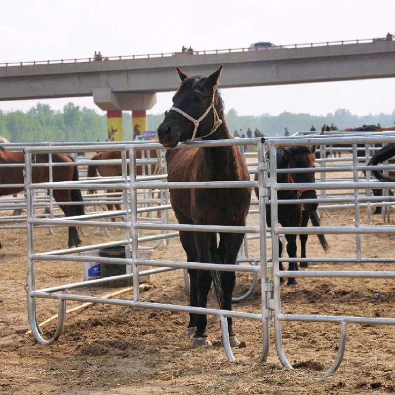 A batch of horse fences were shipped