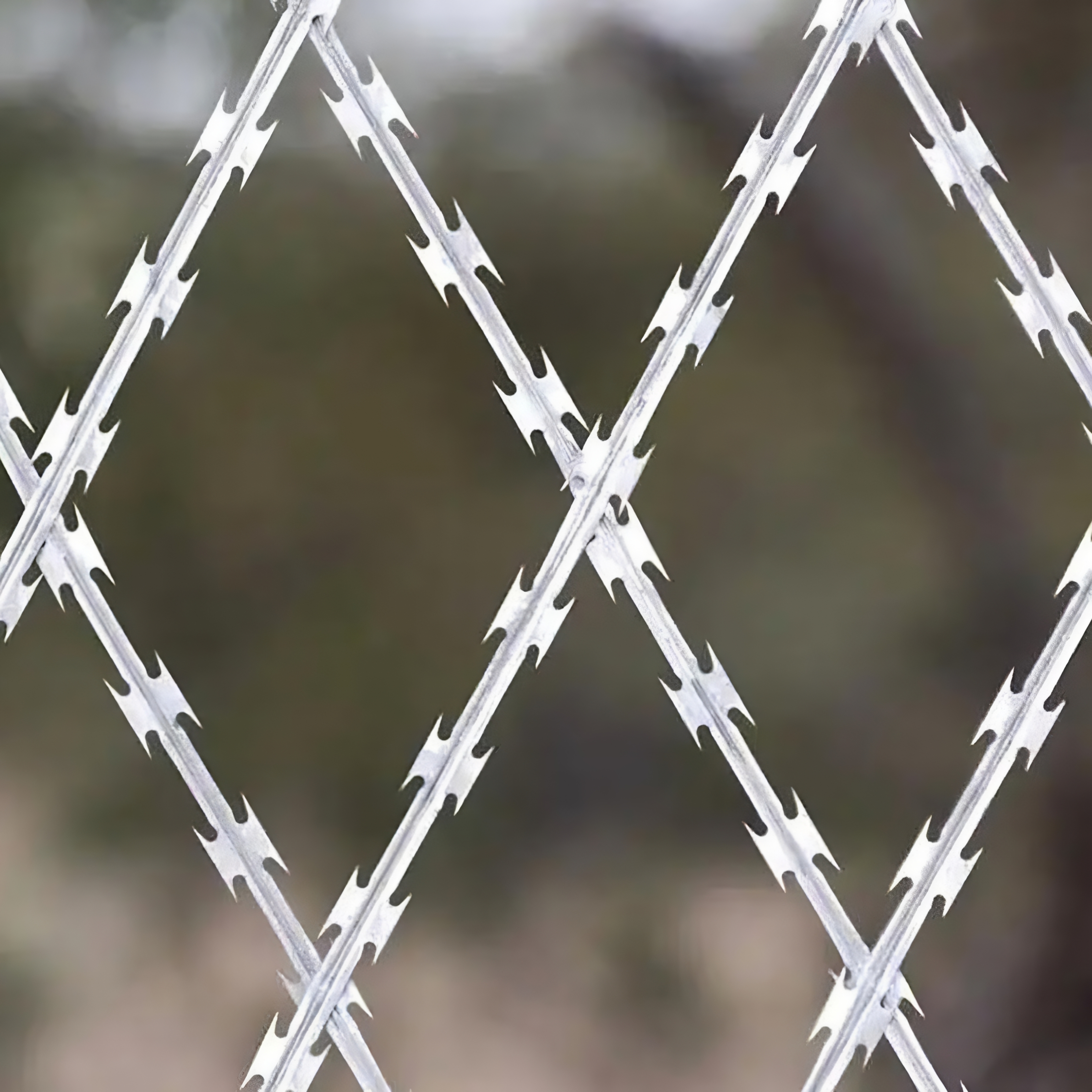 straight strip razor wire