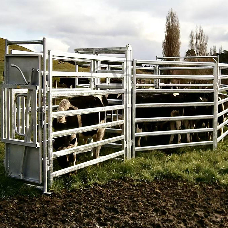 Livestock Panel Use diagram