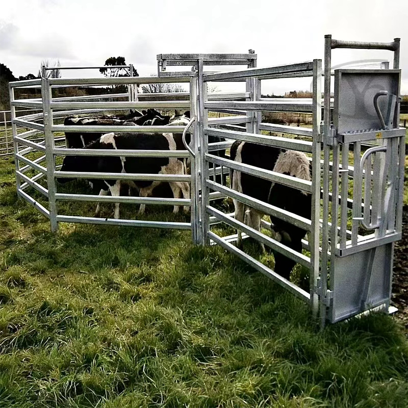 Livestock Panel Use pictures