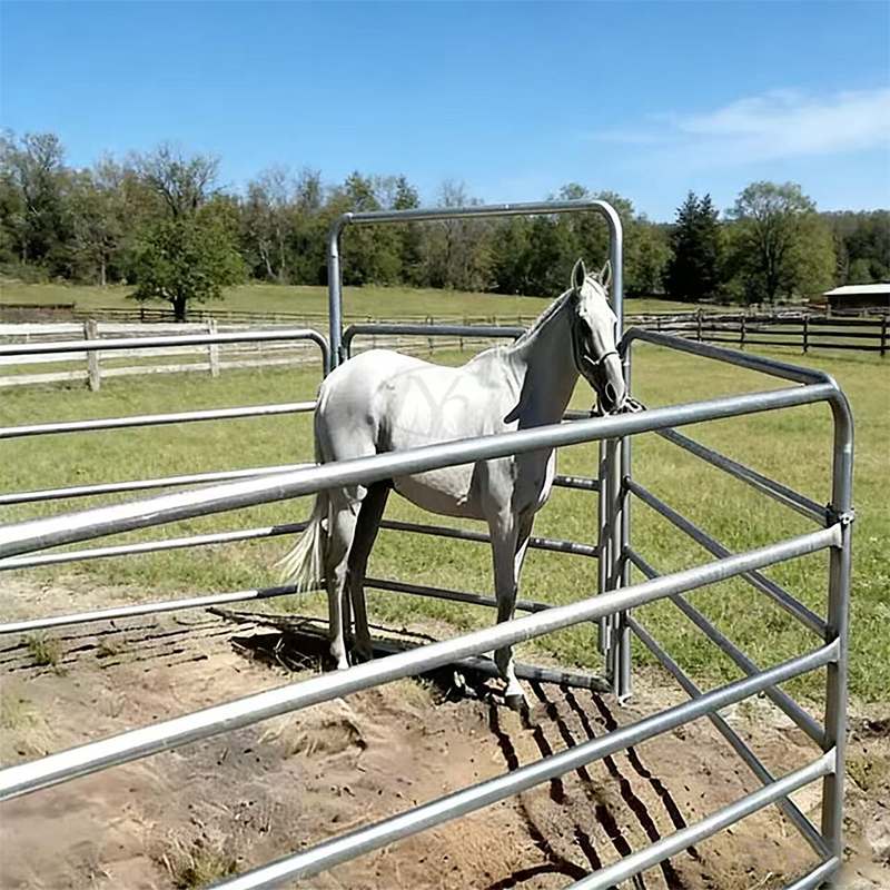 Horse Panel Use pictures