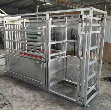 Cattle Restraint Chute