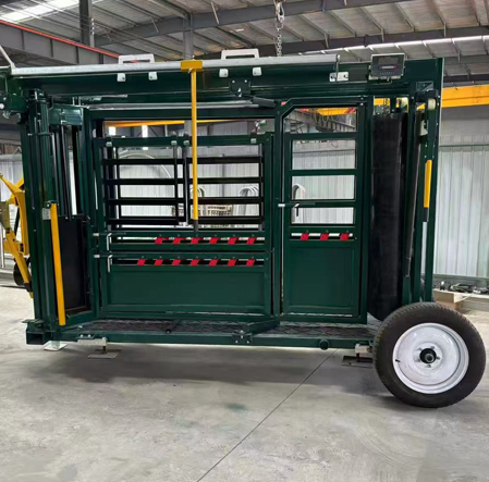 Cattle Restraint Chute