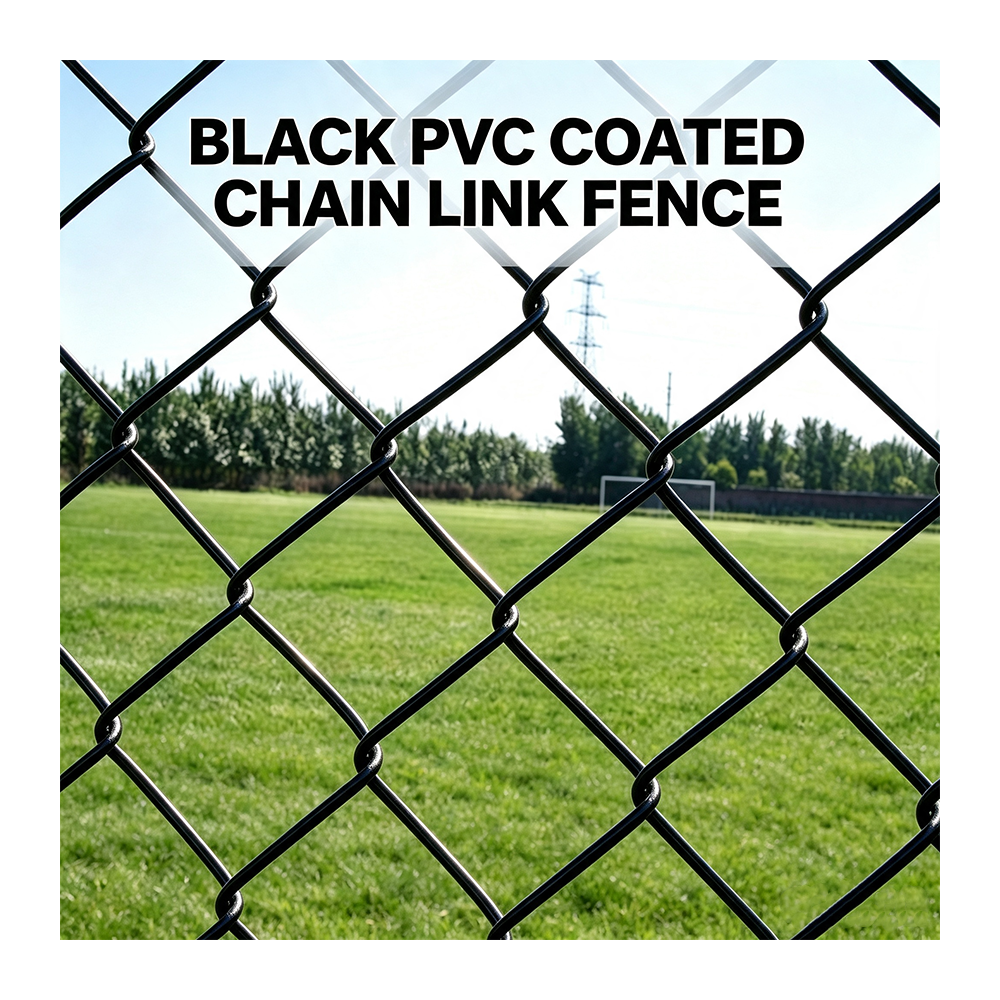 Black PVC-coated chain link mesh