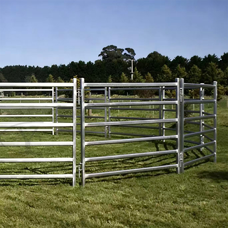 Diagram of cattle pen-board usage
