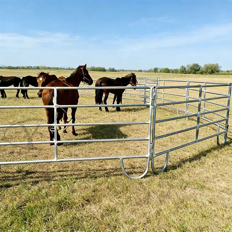 horse corral-Usage Diagram
