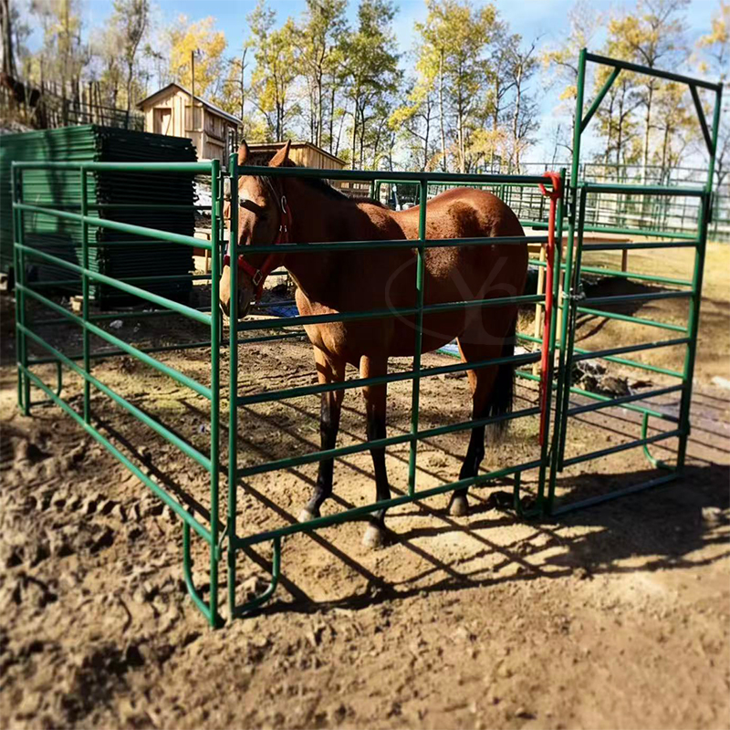 horse fence Use diagram