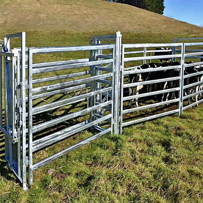 cattle pen -Use diagram