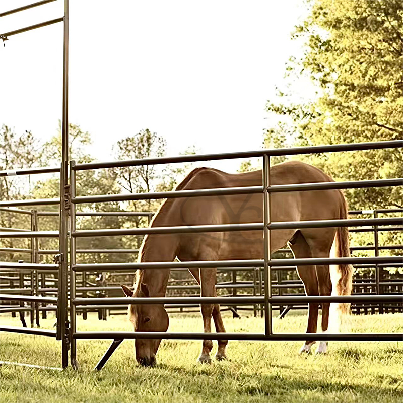 Horse fence  - Use diagram